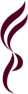 凤山小学 crest